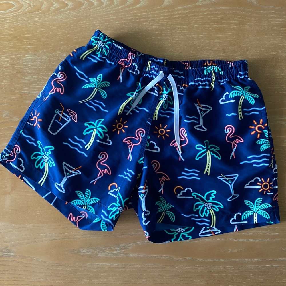 Chubbies - The Neon Lights 5.5" (Classic Swim Trunk)